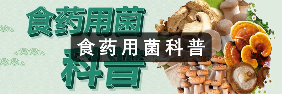 食药用菌科普